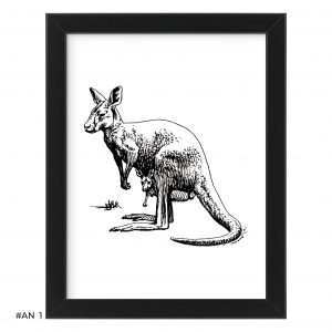 Plakat kangur #AN001