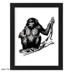 Plakat małpa #AN172
