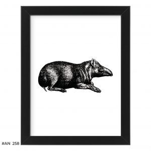 Plakat tapir #AN258