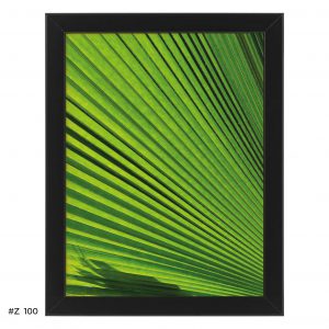 Plakat liść wachlarz palmowy #Z100
