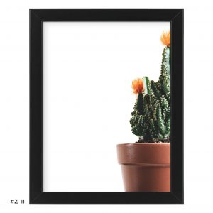 Plakat kaktus w doniczce #Z011