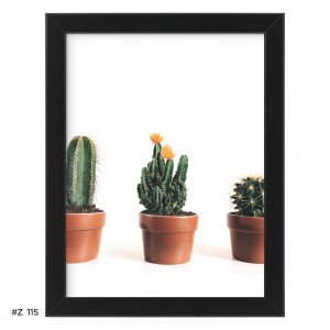 Plakat kaktusy w doniczkach #Z115