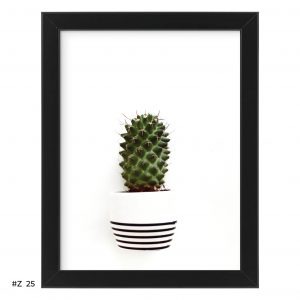 Plakat  kaktus #Z025