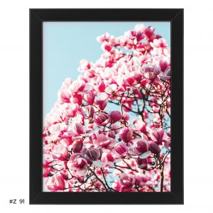 Plakat magnolia #Z091