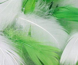 Piórka w torebce – Biało-zielone MIX6