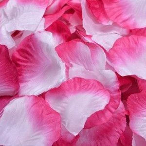 Płatki róż 100szt Biało-różowe